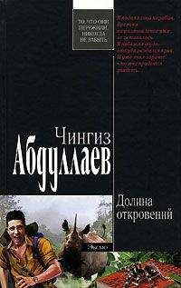 Чингиз Абдуллаев - Шпионы, не вернувшиеся с холода