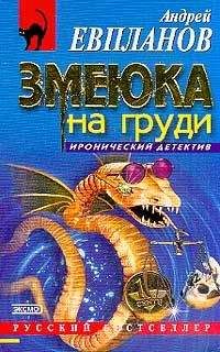 Андрей Ильин - Универсальный солдатик