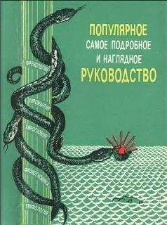 Эрвин Брехер - Нестандартные логические головоломки