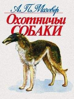 Алексей Фандеев - Охотничье-промысловые звери и трофеи