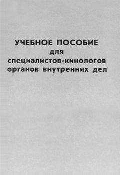 Александр Беженцев - Система профилактики правонарушений несовершеннолетних