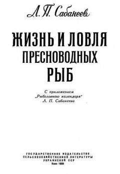 Нина Берберова - Рассказы не о любви