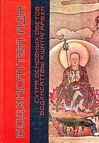 Николай Японский (Касаткин) - Дневники 1870-1911 гг.