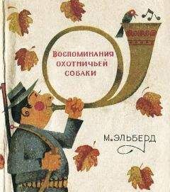 Алексей Сицко - Советы начинающему охотнику