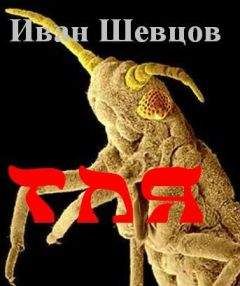 Александр Бек - На другой день