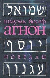 Бат-Шева Краус - Израильская литература в калейдоскопе. Книга 1