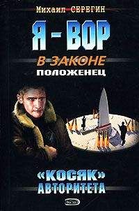 Михаил Серегин - Честное слово вора