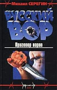 Михаил Серегин - Воровской порядок