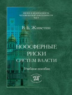 Владимир Живетин - Социосферные риски