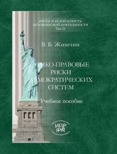 Владимир Живетин - Этико-правовые риски демократических систем