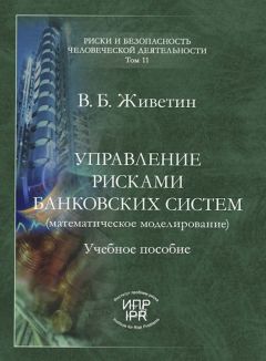 Владимир Живетин - Введение в анализ риска