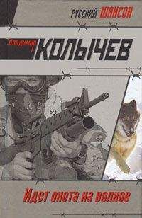 Владимир Колычев - Теневой король