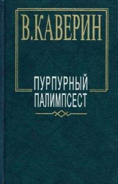 Вениамин Каверин - Открытая книга