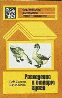 Виктор Горбунов - Всё о кроликах: разведение, содержание, уход. Практическое руководство