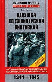 Давид Алексеев - Один год из жизни Блюхера