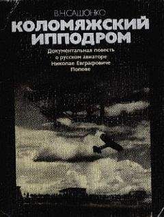 Владимир Дружинин - Державы Российской посол