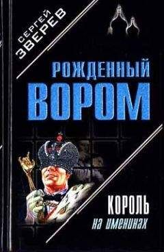 Сергей Зверев - Должник