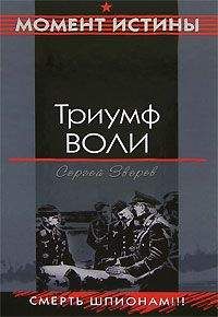 Сергей Зверев - Ударная война