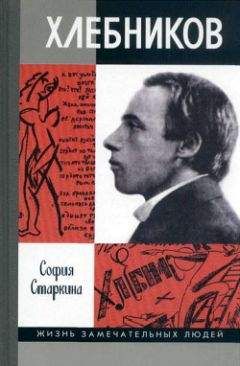 Виктория Торопова - Сергей Дурылин: Самостояние