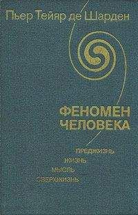 Артур Шопенгауэр - Смерть и ее отношение к неразрушимости нашего существа