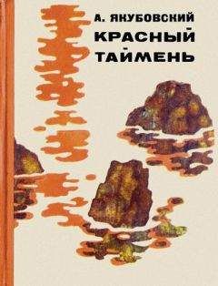 Сулейман Файяд - Живой мост