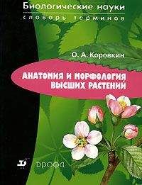 Сергей Ключников - Агни Йога. Симфония. Книга I