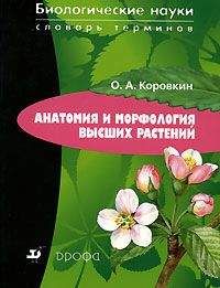 Александр Гофштейн - Промальп в ответах на вопросы