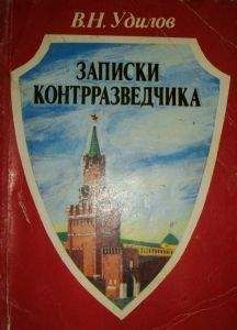 Китя Карлсон - Поваренная книга Самурая или Черт Те Что, а не книга о Японии