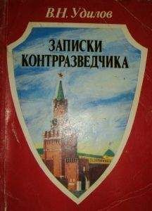 Владимир Орлов - Двойной агент. Записки русского контрразведчика