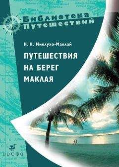 Александр Елисеев - На берегу Красного моря