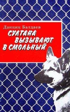 Данцик Балдаев - Султана вызывают в Смольный