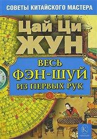 Долма Джангкху - Деловой фэн-шуй. Неорганические энергии