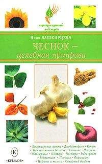 Нина Башкирцева - Чеснок – целебная приправа