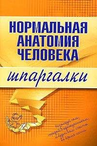 Елена Зигалова - Атлас: анатомия и физиология человека. Полное практическое пособие