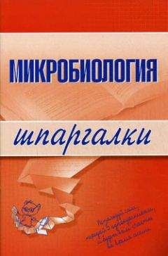 Ксения Ткаченко - Микробиология: конспект лекций