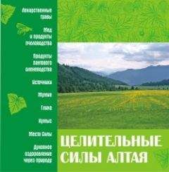 Алексей Ерофеев - Легендарные улицы Санкт-Петербурга