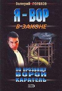 Валерий Горшков - Тюрьма особого назначения