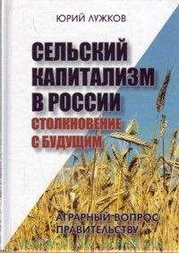 Борис Кагарлицкий - Управляемая демократия: Россия, которую нам навязали