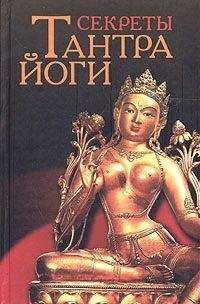 Амора Гуань-Инь - Плеядеанская Тантра: Пробуждение энергии Ба