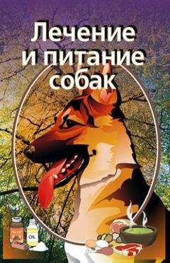 Наталья Карпышева - Выставочная собака: Тернистый путь к пьедесталу (некоторые главы)