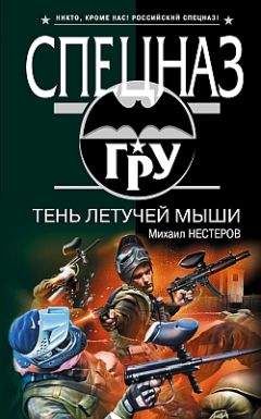 Михаил Нестеров - Умный выстрел