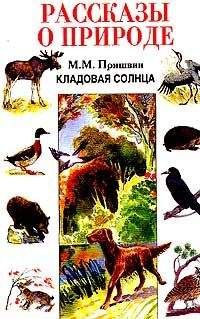 Константин Ушинский - Ребятам о зверятах: Рассказы русских писателей