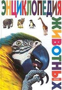 Игнатий Брянчанинов - Практическая энциклопедия «Основы правильной духовной жизни»