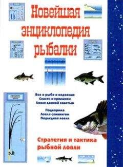 Алексей Горяйнов - Всё о современной рыбалке. Полная энциклопедия