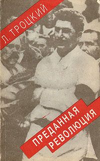 Владимир Шулятиков - Мобилизация революции и мобилизация реакции