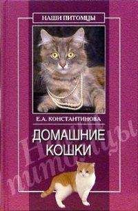 Виктор Кулеш - Домашние питомцы: Насекомые. Моллюски. Земноводные. Пресмыкающиеся. Птицы. Млекопитающие