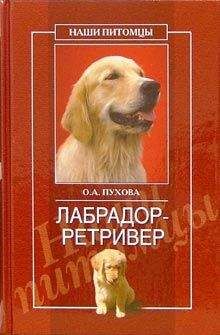 Л. Волкова - Пекинес. День за днем.