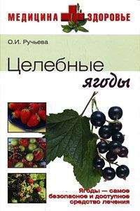 Нина Башкирцева - Зверобой – болезням бой