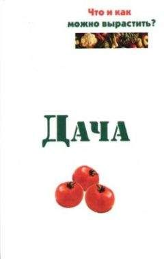 Юлия Белочкина - Лианы
