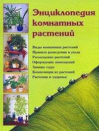 Андрей Рябоконь - Веселая энциклопедия пищевых растений-целителей